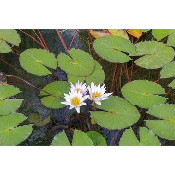 购彩注册激励